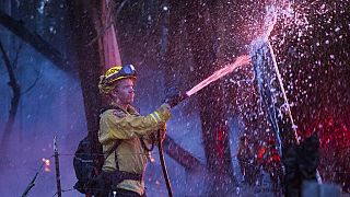 Feuerwehrmann im Kampf gegen einen Waldbrand