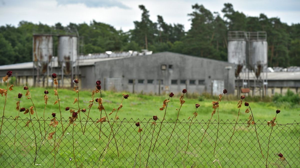 Az egykori náci koncentrációs tábor helyén lévő sertéstelep, Lety, Csehország