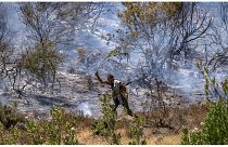 رجل يستخدم غصن شجرة لإخماد حريق في غابات بالقرب من مدينة القصر الكبير المغربية في منطقة العرائش، 14 يوليو 2022.