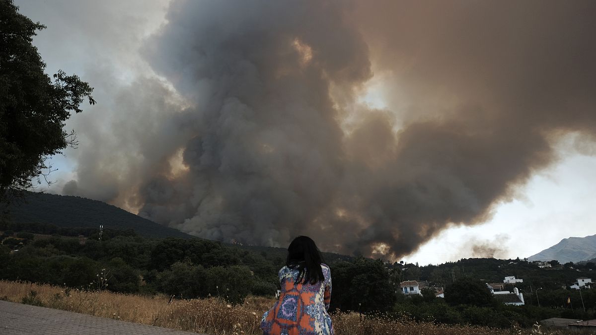 Женщина смотрит, как огонь перекинулся на жилой район, в пригороде Малаги, Испания. 16 июля 2022.
