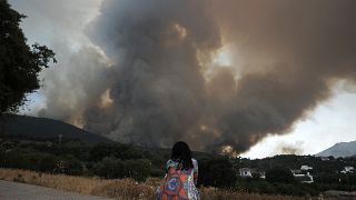 Женщина смотрит, как огонь перекинулся на жилой район, в пригороде Малаги, Испания. 16 июля 2022.