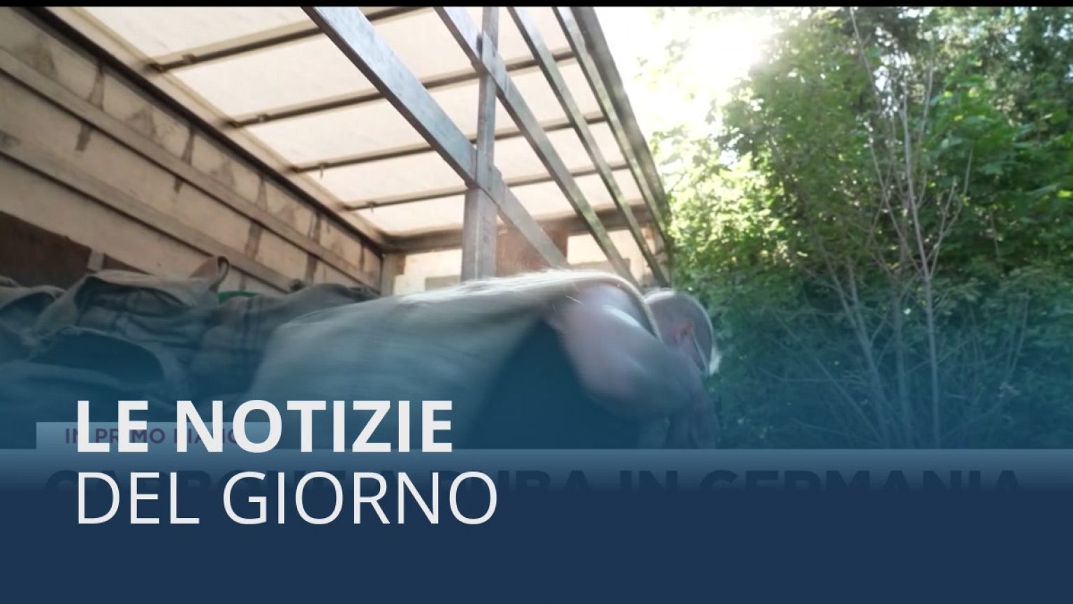 Le notizie del giorno | 23º luglio - Mattino
