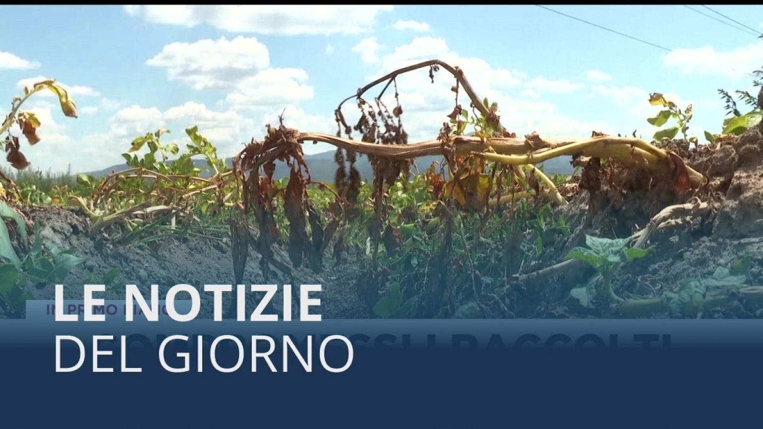 Le notizie del giorno | 23º luglio - Serale