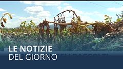 Le notizie del giorno | 23º luglio - Serale