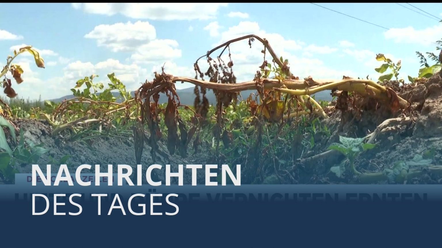 Nachrichten des Tages | 23. Juli - Abendausgabe