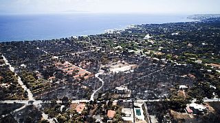 Αεροφωτογραφία από τις καμμένες εκτάσεις μετά την πυρκαγιά στο Μάτι
