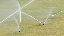 Golfplätze und Grünanlagen sollen nicht mehr bewässert werden.