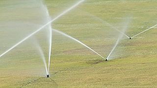 Golfplätze und Grünanlagen sollen nicht mehr bewässert werden.