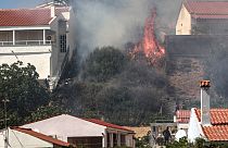 Brand auf der griechischen Insel Lesbos