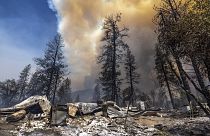 Paysage de désolation en Californie après le passage des flammes