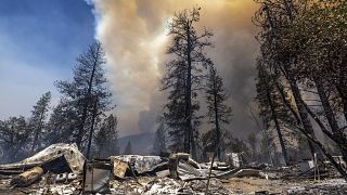 Paysage de désolation en Californie après le passage des flammes