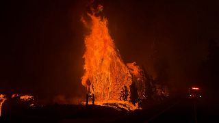 USA: Oak fire rages near Yosemite National Park 