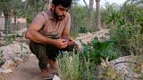 Mohamed Al-Khater inspects a flower growing in his aromatic garden in Torba Farm, Qatar.