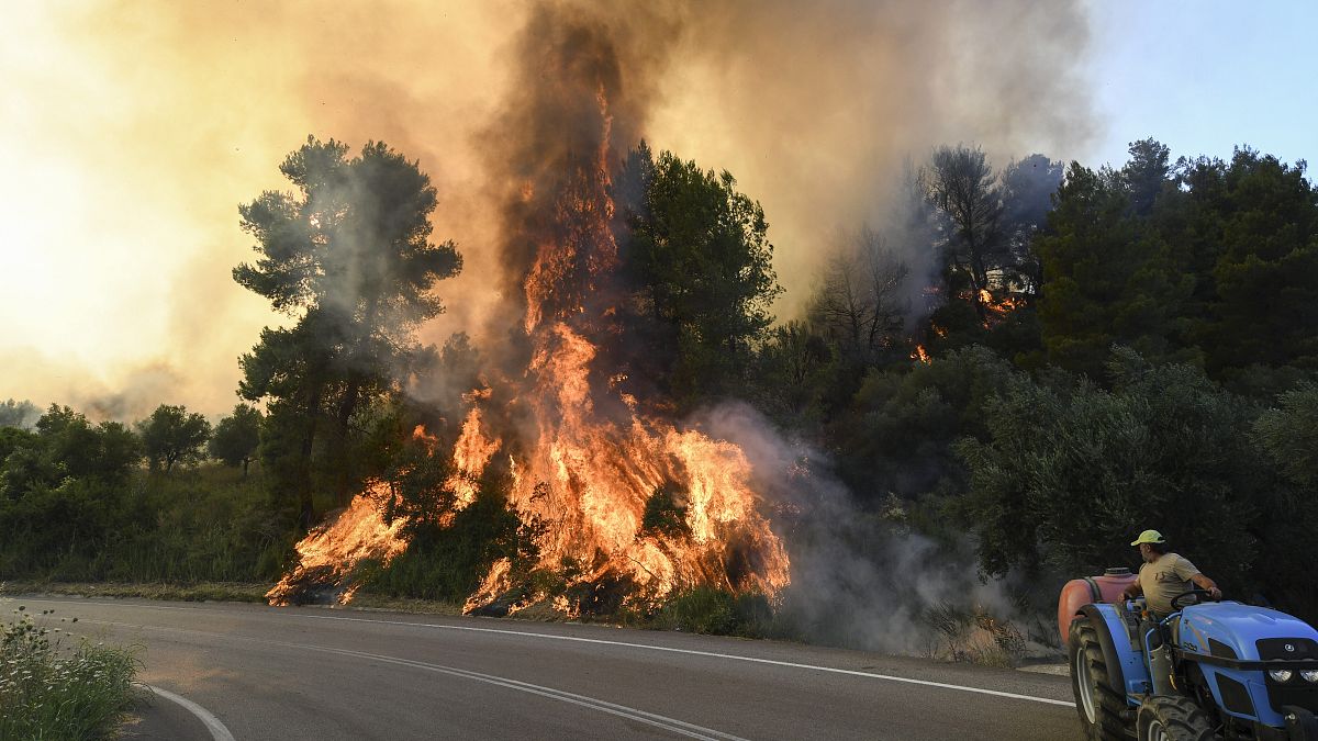 Incendie près du village de Krestena au sud de l'Ancienne Olympie, dans le sud-ouest d'Athènes, dimanche 24 juillet 2022. 