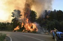 Firefighters are focusing on saving the village of Dadia, but the national forest itself, which hosts several rare bird species, mainly vultures, is under threat.