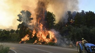 Incendie près du village de Krestena au sud de l'Ancienne Olympie, dans le sud-ouest d'Athènes, dimanche 24 juillet 2022. 