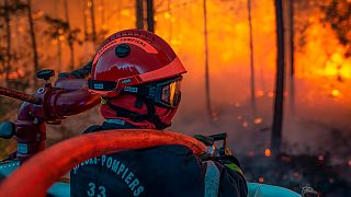 A firefighter at work at a forest fire at La Teste-de-Buch, southwestern France, late Monday, July 18, 2022.