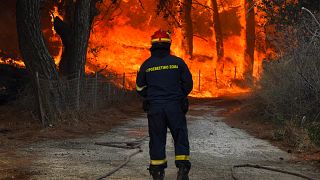 Egy tűzoltó küzd a lángokkal Vatera tengerparti üdülőhely közelében, a görögországi Leszbosz szigetén, az Égei-tenger keleti részén, 2022. július 23-án