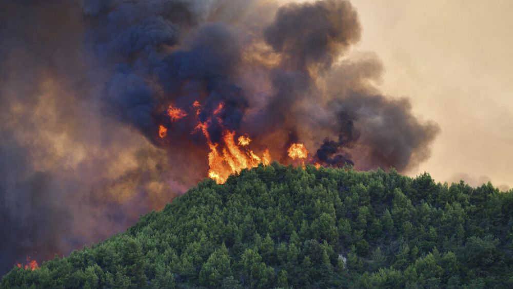 فيديو : بدون تعليق: رجال الإطفاء يكافحون حرائق الغابات في إسبانيا واليونان والمملكة المتحدة - Euronews