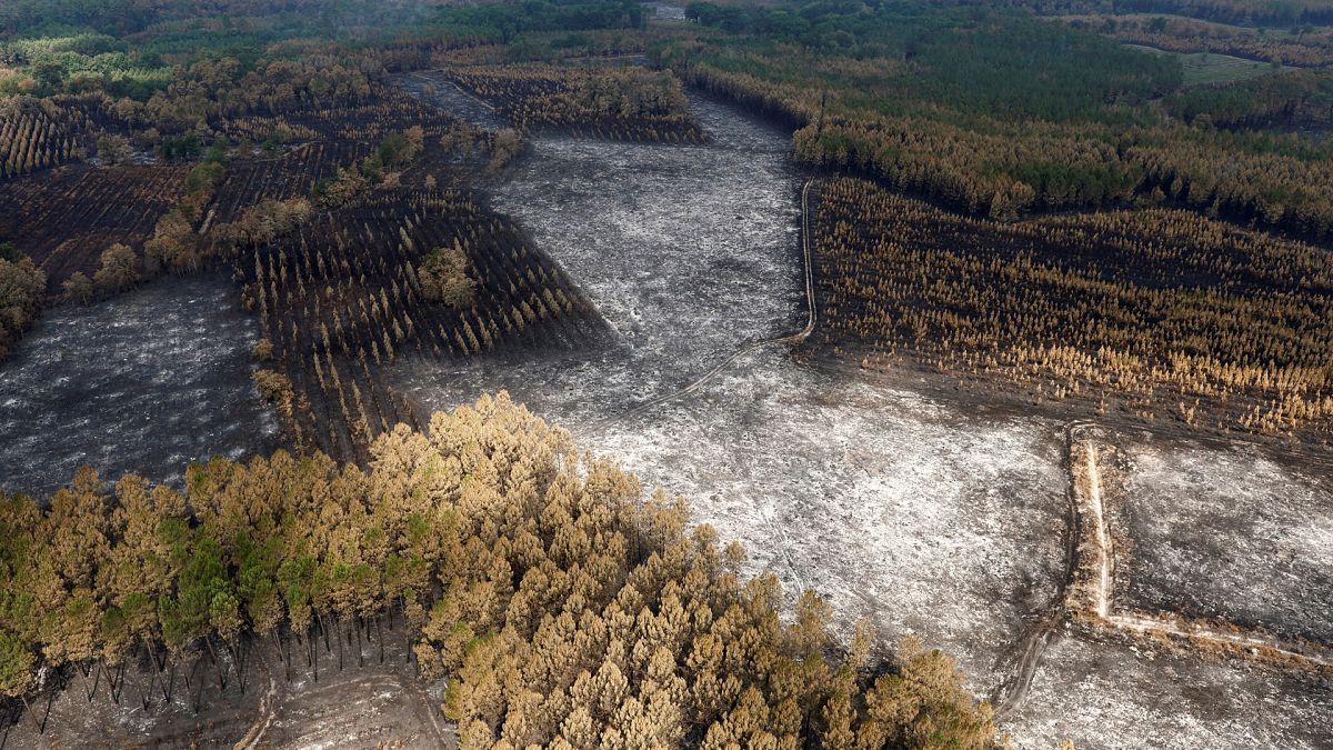 Archives : vue aérienne de la forêt de Landiras, après avoir été ravagé par un incendie qui a dévoré plus de 12 hectares, le 23 juillet 2022 