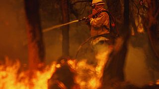 Un pompier lutte contre les flammes de l'incendie Oak Fire dans le comté de Mariposa, en Californie, le dimanche 24 juillet 2022.