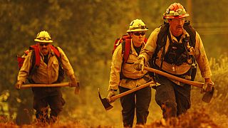 Los bomberos luchan conta 'Oak Fire' el incendio en el condado de Mariposa, California, EEUU 24/7/2022