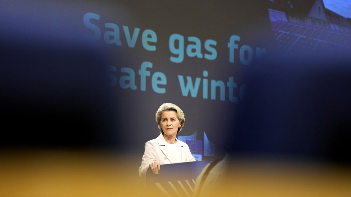 Ursula von der Leyen's gas reduction plan is under intense scrutiny by member states.