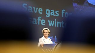 Ursula von der Leyen's gas reduction plan is under intense scrutiny by member states.