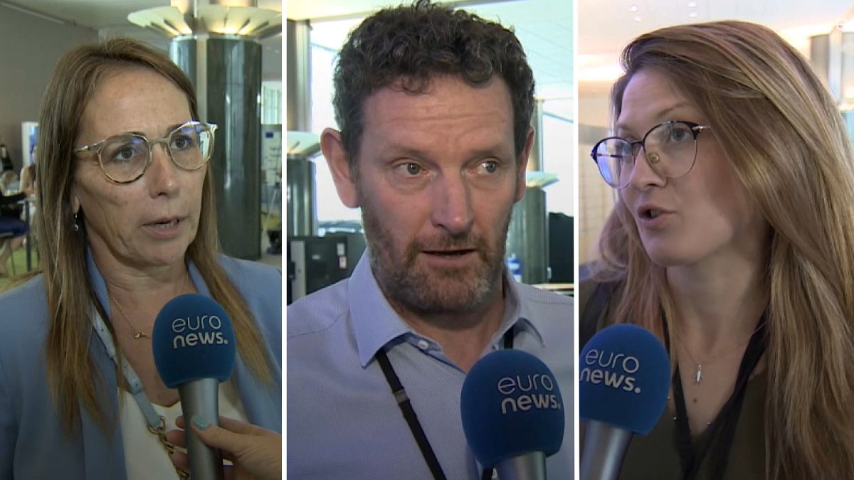 European lawmakers speak to Euronews about the subjects that will matter most in the fall.