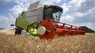 Ukrayna'da tahılın bir kısmı demir ve karayolu üzerinden Romanya ve Polonya gibi komşu ülkelere taşınmış olsa da hala milyonlarca ton buğday çiftçilerin elinde kalmış durumda