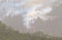 Extinción del fuego en el entorno de Los Realejos, en la isla canaria de Tenerife