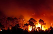 A forest fire in Guadalajara (Spain). A tree-planting company caused a similar blaze last week.