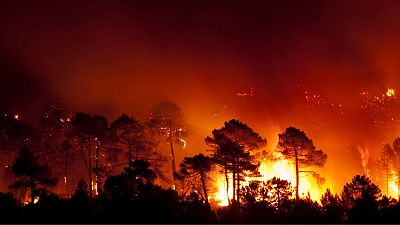 A forest fire in Guadalajara (Spain). A tree-planting company caused a similar blaze last week. A forest fire in Guadalajara (Spain). A tree-planting company caused a similar blaze last week.