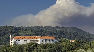 Лесной пожар в национальном парке в Чехии