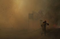 Un bombero intenta extinguir las llamas durante un incendio forestal cerca de la ciudad de Megara, al oeste de Atenas, Grecia, 20 de julio de 2022.