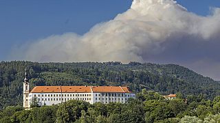 Hrensko in der Böhmischen Schweiz. Das Feuer brach Sonntag aus und wurde Montag immer bedrohlicher