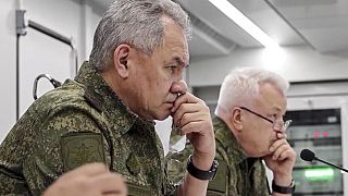 Russlands VerteidigungsministerSergej  Shoigu