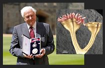 Attenborough és a róla elnevezett fosszília