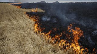 حقول حبوب تحترق على مشارف كوراخوف، دونيتسك أوبلاست، شرق أوكرانيا، الخميس 21 يوليو 2022