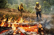 Les pompiers luttent contre "Oak Fire" en Californie, dans l'ouest des Etats-Unis.