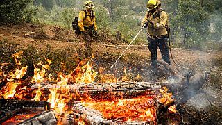 Американские пожарные продолжают борьбу с лесным пожаром в Калифорнии