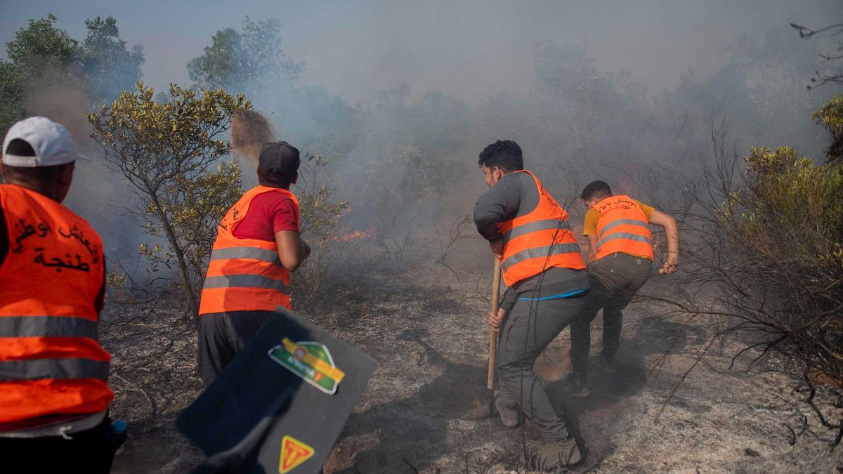 محاولة إخماد حريق غابة في العرائش شمال المغرب، الجمعة 15 يوليو 2022