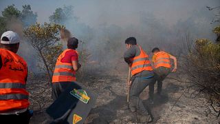 محاولة إخماد حريق غابة في العرائش شمال المغرب، الجمعة 15 يوليو 2022