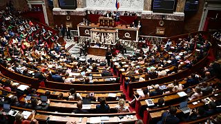 الجمعية الوطنية الفرنسية.