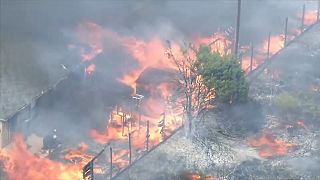 حرائق الغابات في دالاس الأمريكية تصل إلى الأبنية السكنية