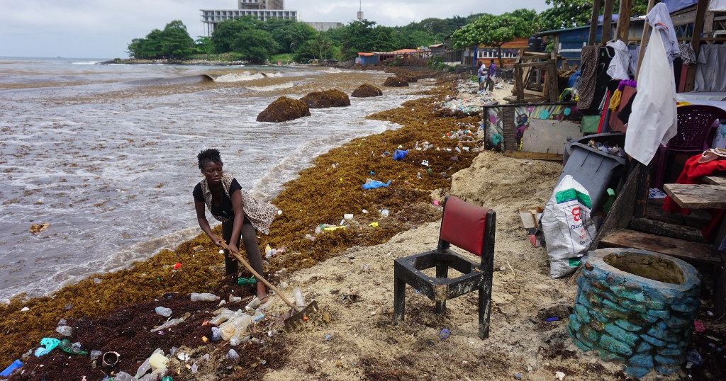 Foul-smelling seaweed disrupts Sierra Leone's fishing and tourism industry