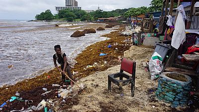 Sierra Leone : des algues marines perturbent la pêche et le tourisme