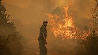 Maroc : 2 nouveaux décès dans des feux de forêt