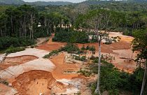 یک معدن طلای غیرقانونی در یک پارک ملی در برزیل