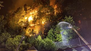 Firefighters aim hoses at fire in the Ceske Svycarsko (Czech Switzerland) National Park, above the village Hrensko, Czech Republic, Monday July 25, 2022.
